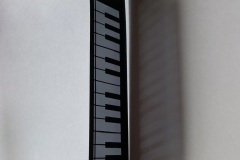 AA